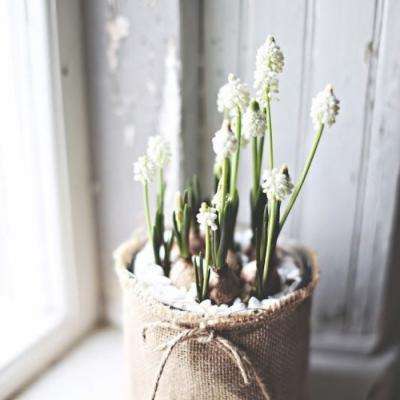 乐宝体育官网登录入口手机app下载