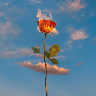 b体育手机版官网最新版本下载