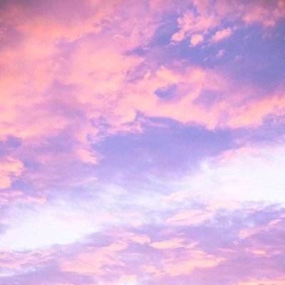 半岛手机综合体育登录截图