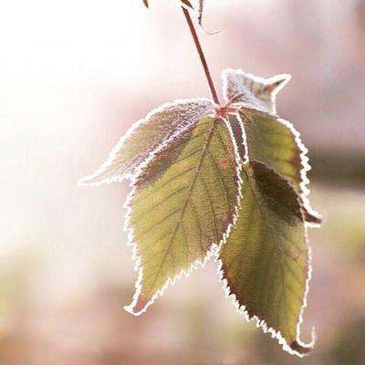 leyu·乐鱼体育下载手机版截图